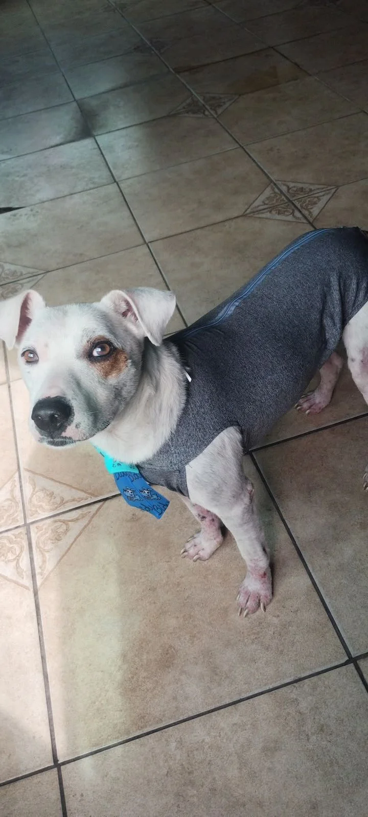 Theodoro depois do resgate